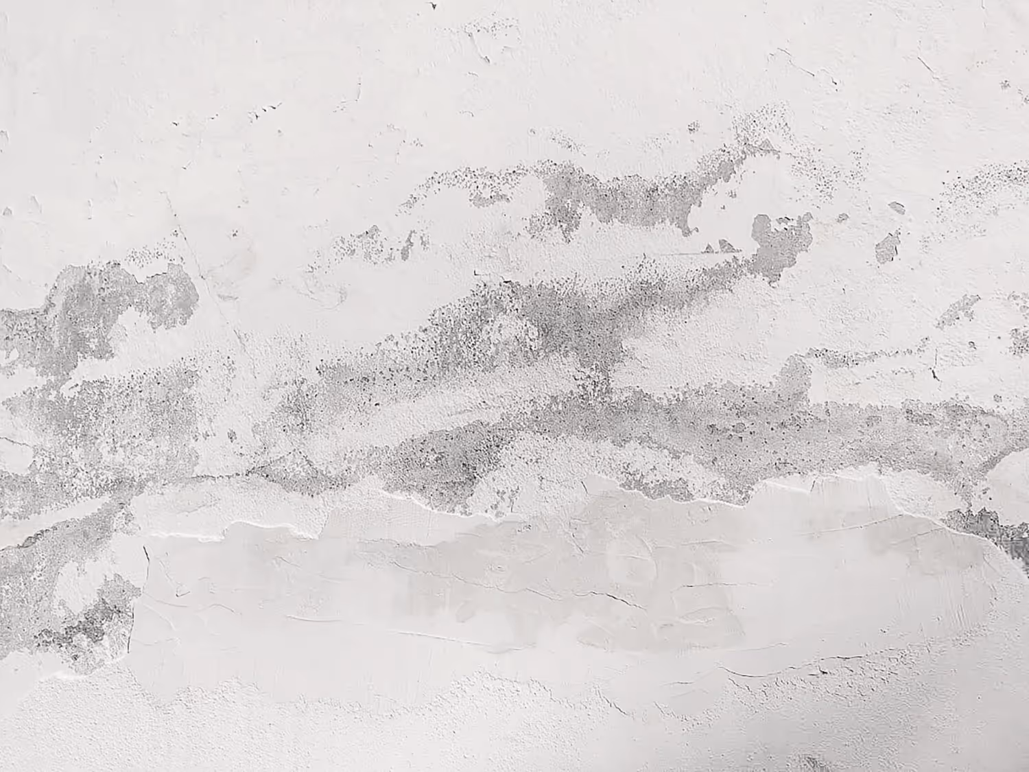 How to Detect Water Leaks in Walls: 5 Effective Methods for Homeowners
