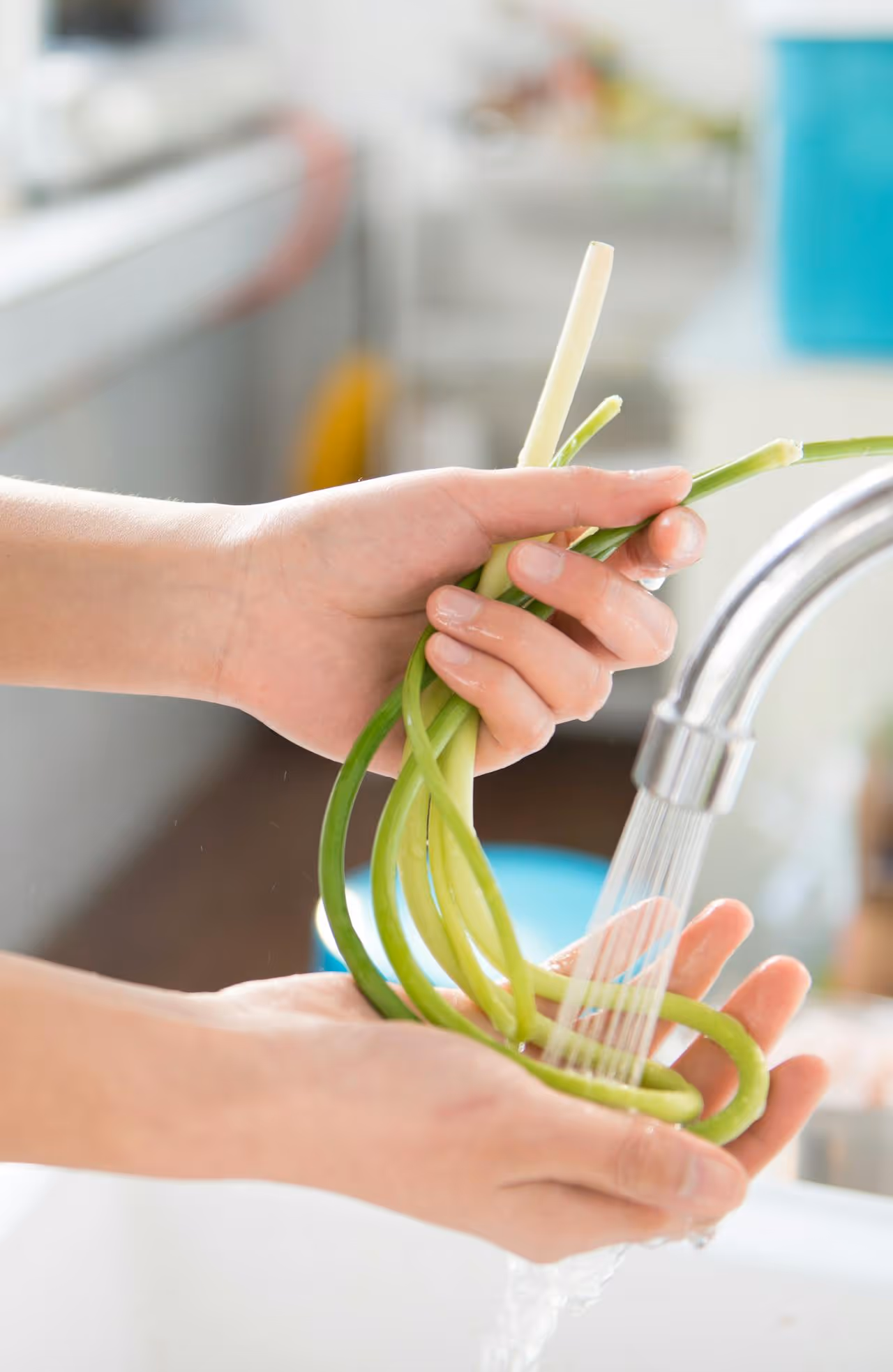 Water Filtration by Dr Rooter